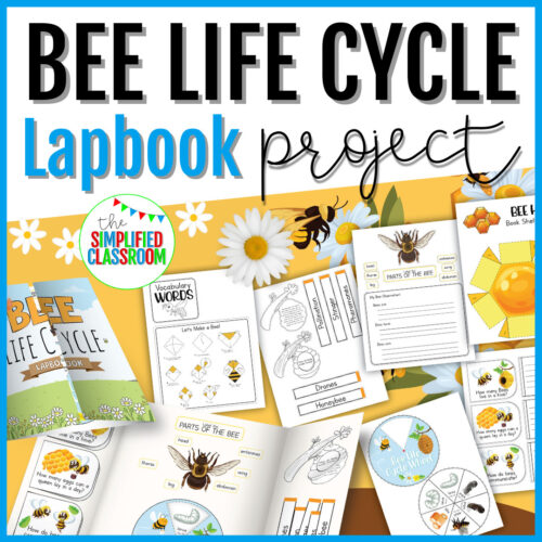 All About Bees Lifecycle Lapbook Science Research Project