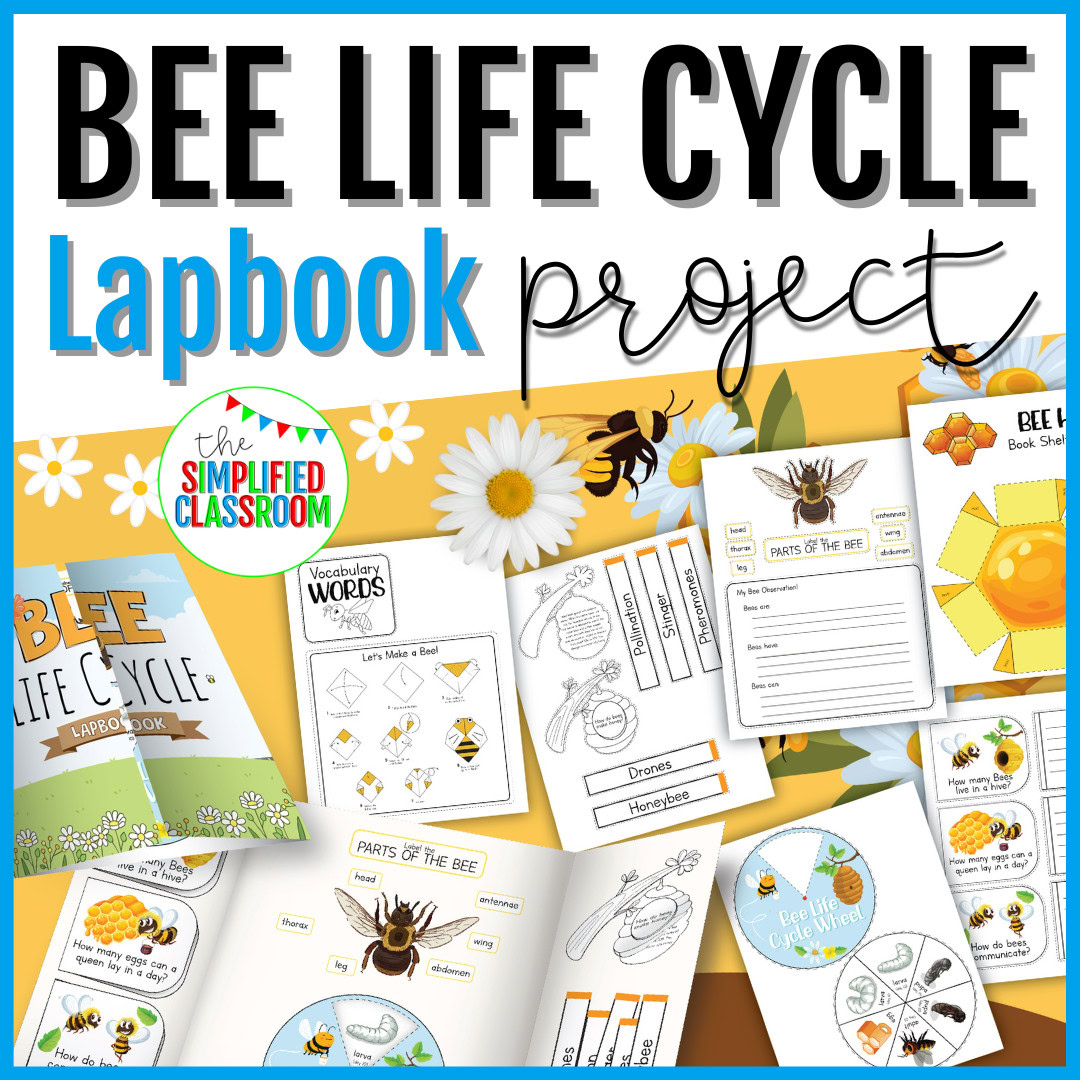 All About Bees Lifecycle Lapbook Science Research Project