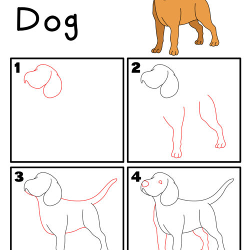 Pets Animals Directed Drawing NO PREP Activity - Image 3