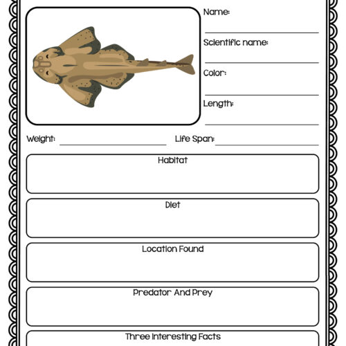 All About Sharks Research Study Writing Project with Multiple Subspecies - Image 4