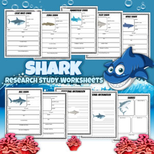 All About Sharks Research Study Writing Project with Multiple Subspecies - Image 2