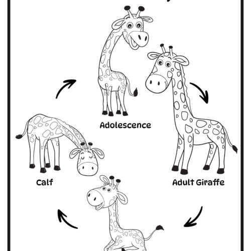 Giraffe Worksheet Activity Set for Kindergarten First or Second Grade Animals - Image 3