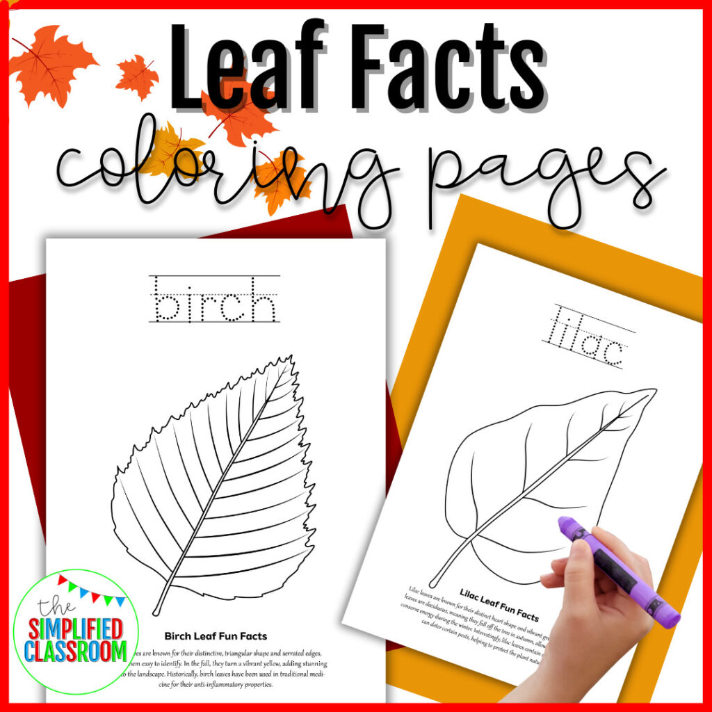 Leaf Facts Coloring Pages - The Simplified Classroom